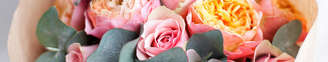 Купить цветы Германия от Grand-flora